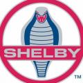 Alloy Shelby
