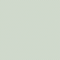 Shafi