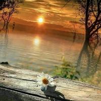 Christie Dawn