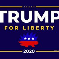 Vee Liberty