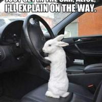 Annajo