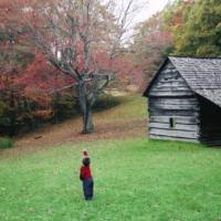 Melinda Wilcox