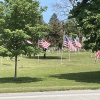 Kerry Dettorre