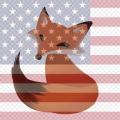 Bekke Fox