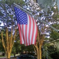 Pam Shealy