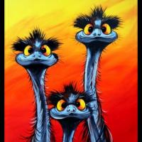 Ostriches Pecking