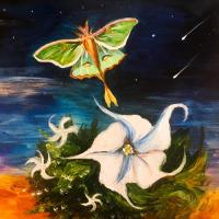 Karen Ferrand Carroll