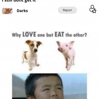 Derek