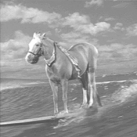 Mister Ed