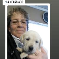 Pam Treige