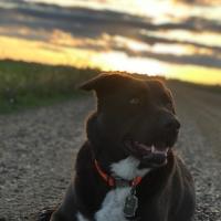 Danielle Essenmacher