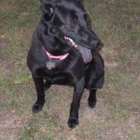 Lucy