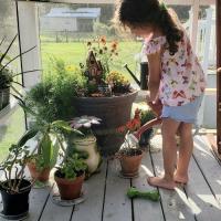 Tammy Corbin