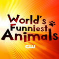 World's Funniest Animals On The CW