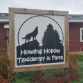 Howling Hollow Taxidermy