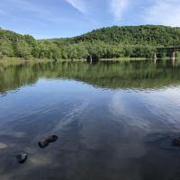 tammy Dickson