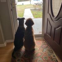 Melanie Radford