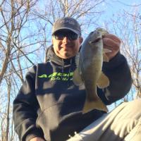Greg Gulledge